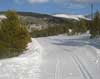 Feature image for Skiing the Leadville Loppet - at 10,000 feet