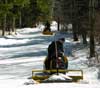 Feature image for U.S. SuperTour Finals and U.S. 30km/50km Championships Set to Go