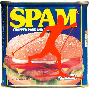 Feature image for Tour de Spam Nordic Ski Stage & Night Race