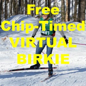 Feature image for Free chip-timed Virtual Birkie at Huron Meadows Metropak