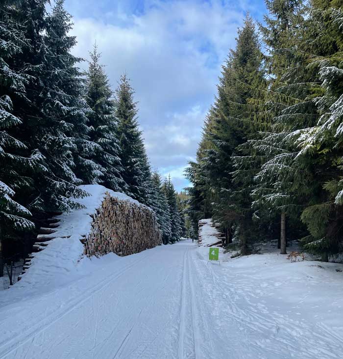 Out on the trail