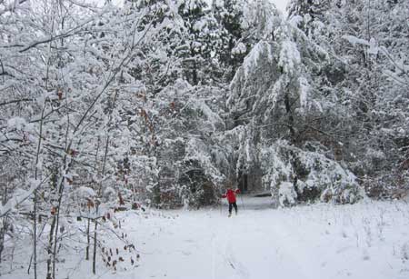Winter wonderland!