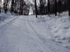 Feature image for Descending Jackrabbit at Stokely Creek