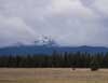 Feature image for It's Starting to Snow in West Yellowstone!