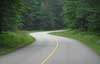 Feature image for Roller skiing at Hartwick Pines