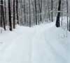 Feature image for Only 500 spots left at Birkie