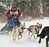 Feature image for Toko helps sled dog world championship victory