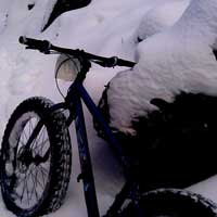 Feature image for Fatbikes on Cross-Country Ski Trails: Kingdom Trails in Vermont