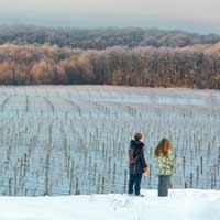 Feature image for Traverse City introduces Wine Touring on Skis