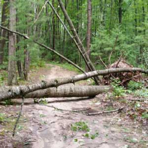 Feature image for Vasa and TART trails a mess after storms