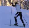 Feature image for Video: USST training in Gällivare